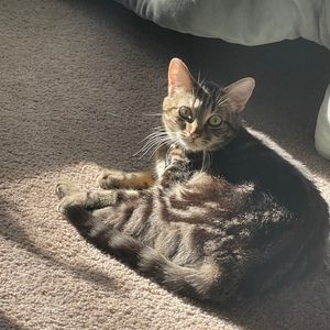 Meet your Posher, Bernadette